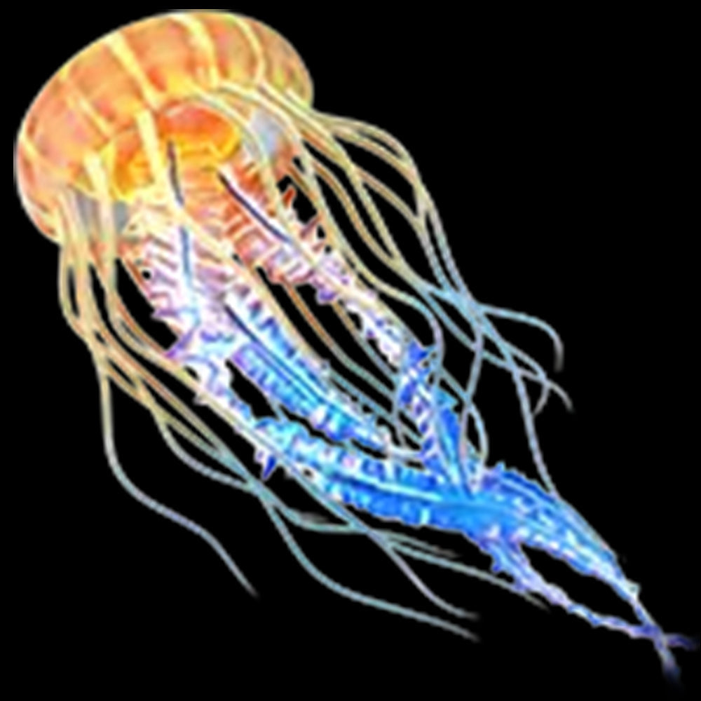 Glowing Jellyfish（1000Coins)