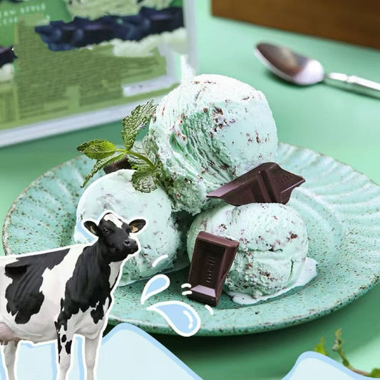 Ice Cream Scoop